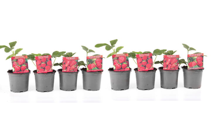 Artikel in de kijker